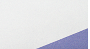 障子商品紹介-ワーロン